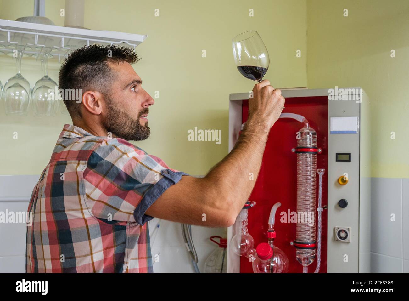Side view focused male in checkered shirt tasting red wine by smelling while working in wine laboratory Stock Photo