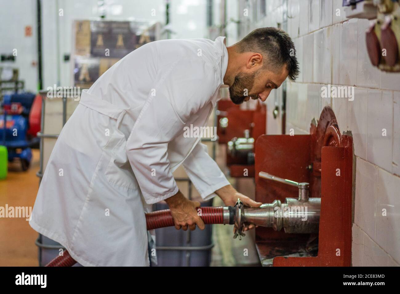 Side view serious winemaker in white robe attaching flexible pipe to fermentation tank while working in contemporary professional factory Stock Photo