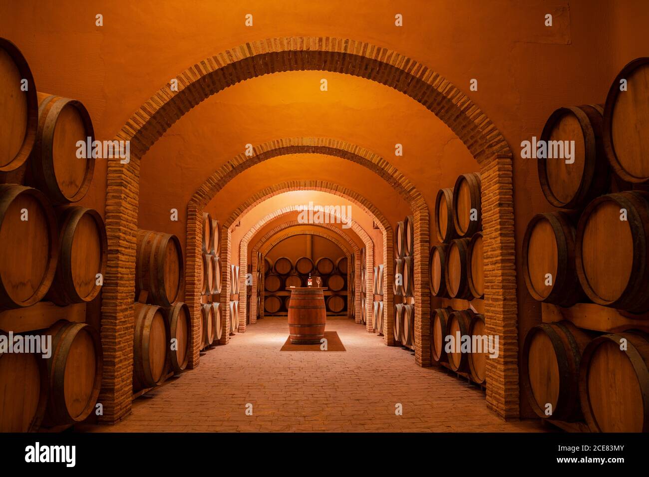 Interior of contemporary spacious winery storage with wooden barrels ...