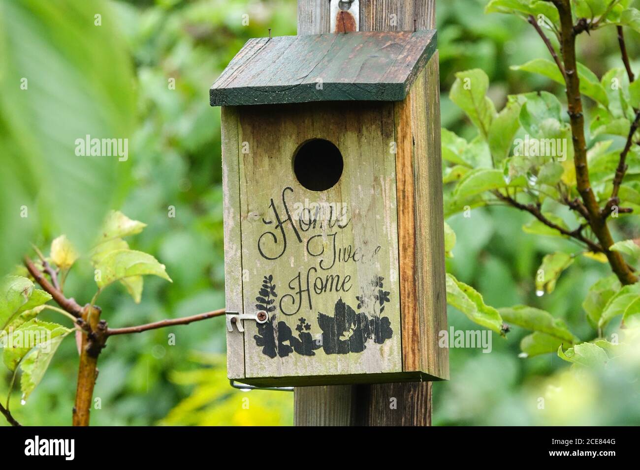 Home sweet home sign birdhouse Stock Photo