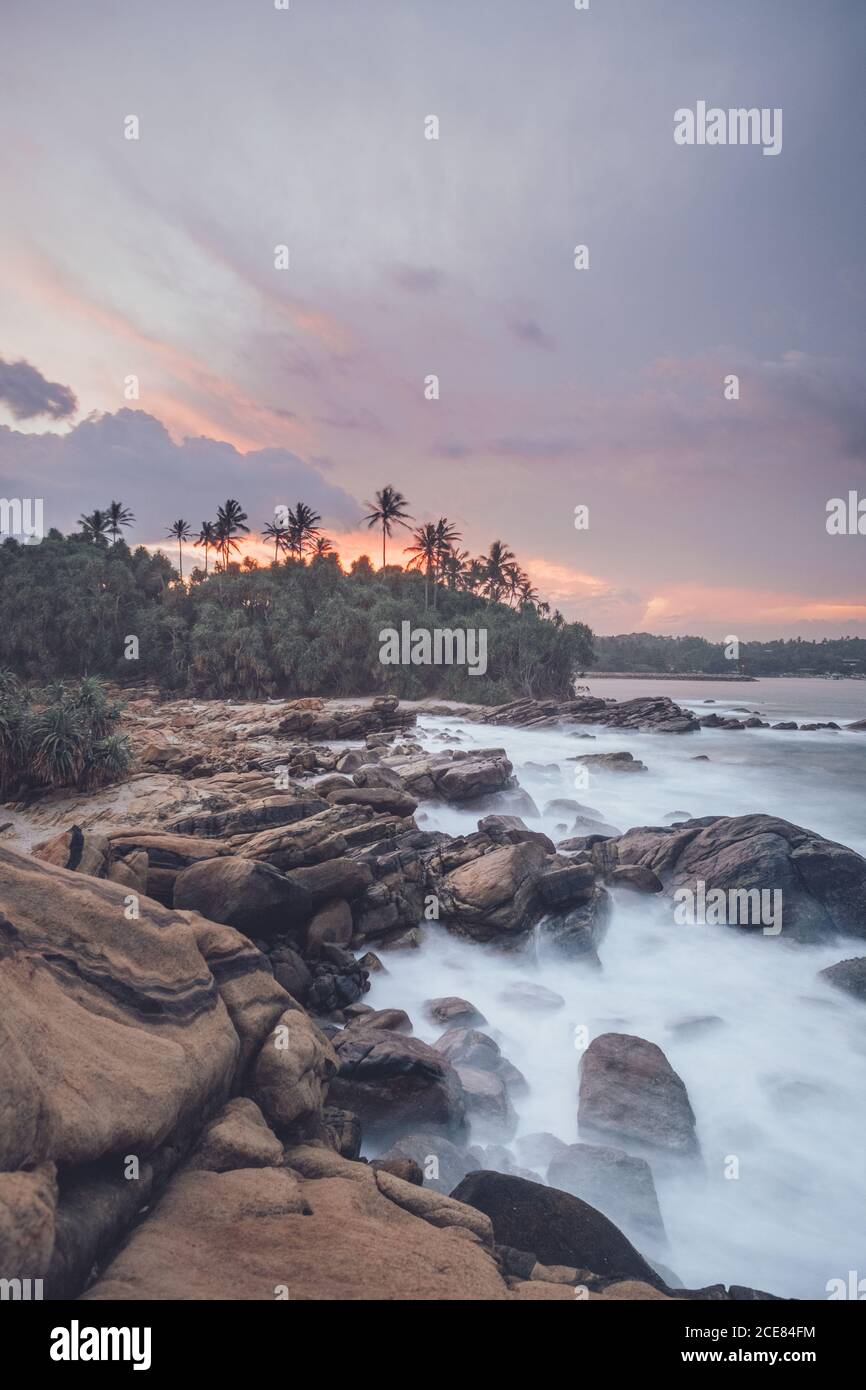 Amazing scenery of rocky coast and green palm trees near sea under picturesque sunset sky Stock Photo