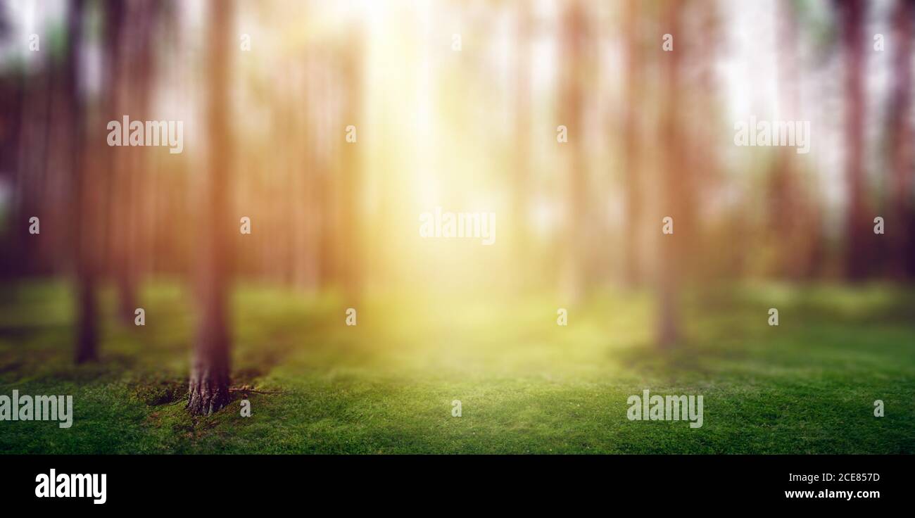 The sun and nature light hi-res stock photography and images - Alamy