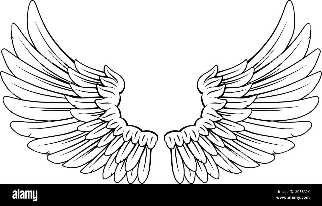 Wings Angel or Eagle Feathers Pair Illustration Stock Vector