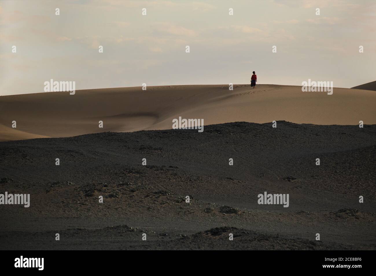 anonymous female tourist strolling in sandy terrain in desert with dry wavy surface under cloudy sky at bright sundown Stock Photo