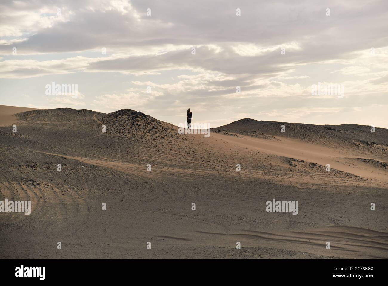 anonymous female tourist strolling in sandy terrain in desert with dry wavy surface under cloudy sky Stock Photo