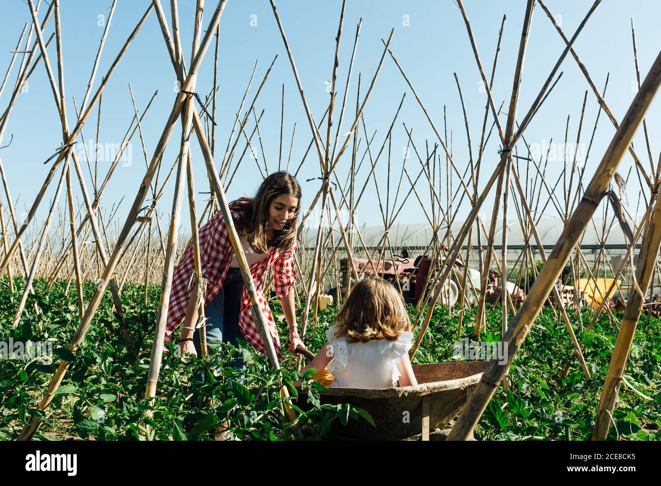 Happy girl sitting in wheelbarrow near laughing mother in garden Stock ...