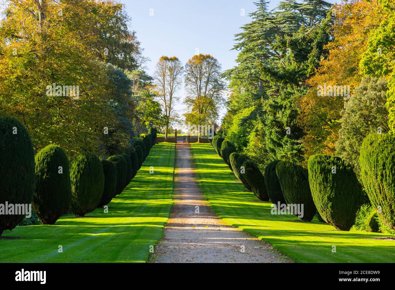 The first signs of autumn colour on the trees lining the drive to the west front of Montacute House, Somerset, England, UK Stock Photo