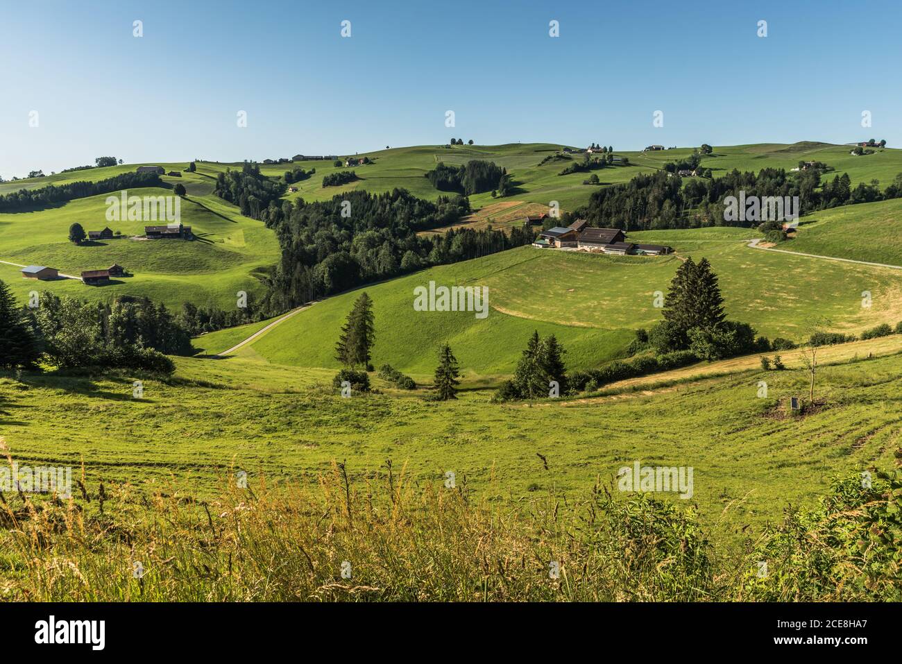 Landscape in Appenzellerland with green pastures and farm houses, Canton of Appenzell Inner-Rhodes, Switzerland Stock Photo