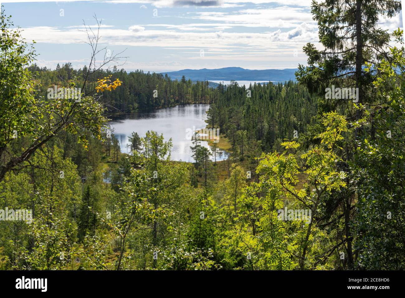 View over #storhornvattnet' just outside the 'skuleskogen' National park in Northen Sweden and to the south of High Coast Area a World Heritage site. Stock Photo