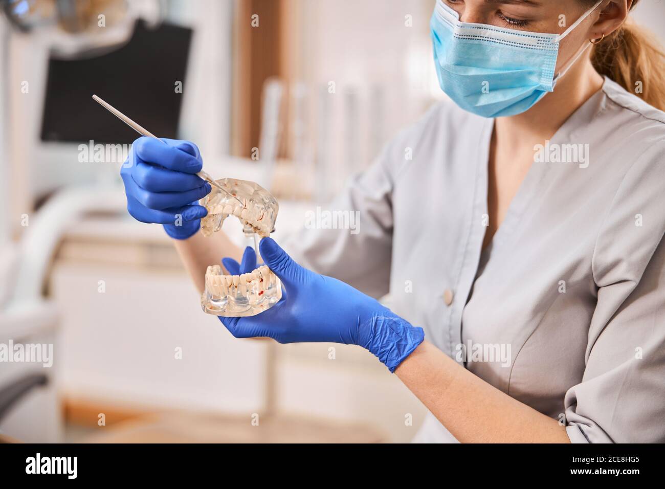 Qualified dentist teaching about dental health with model teeth Stock