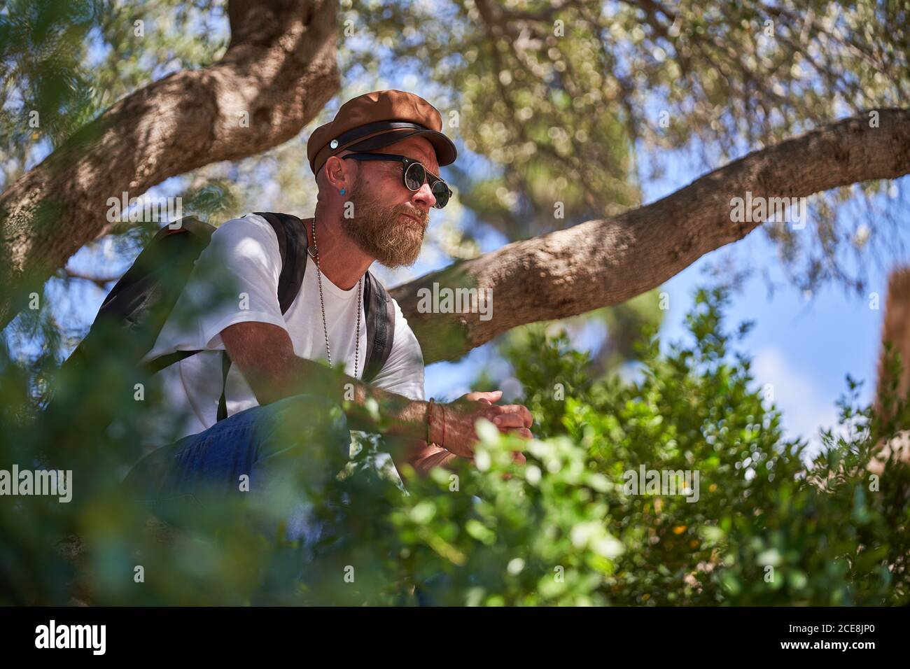 https://c8.alamy.com/comp/2CE8JP0/low-angle-side-view-of-contemplative-adult-hipster-male-traveler-in-cap-and-sunglasses-with-backpack-relaxing-under-tree-branches-during-hiking-in-nature-in-sunny-summer-day-2CE8JP0.jpg
