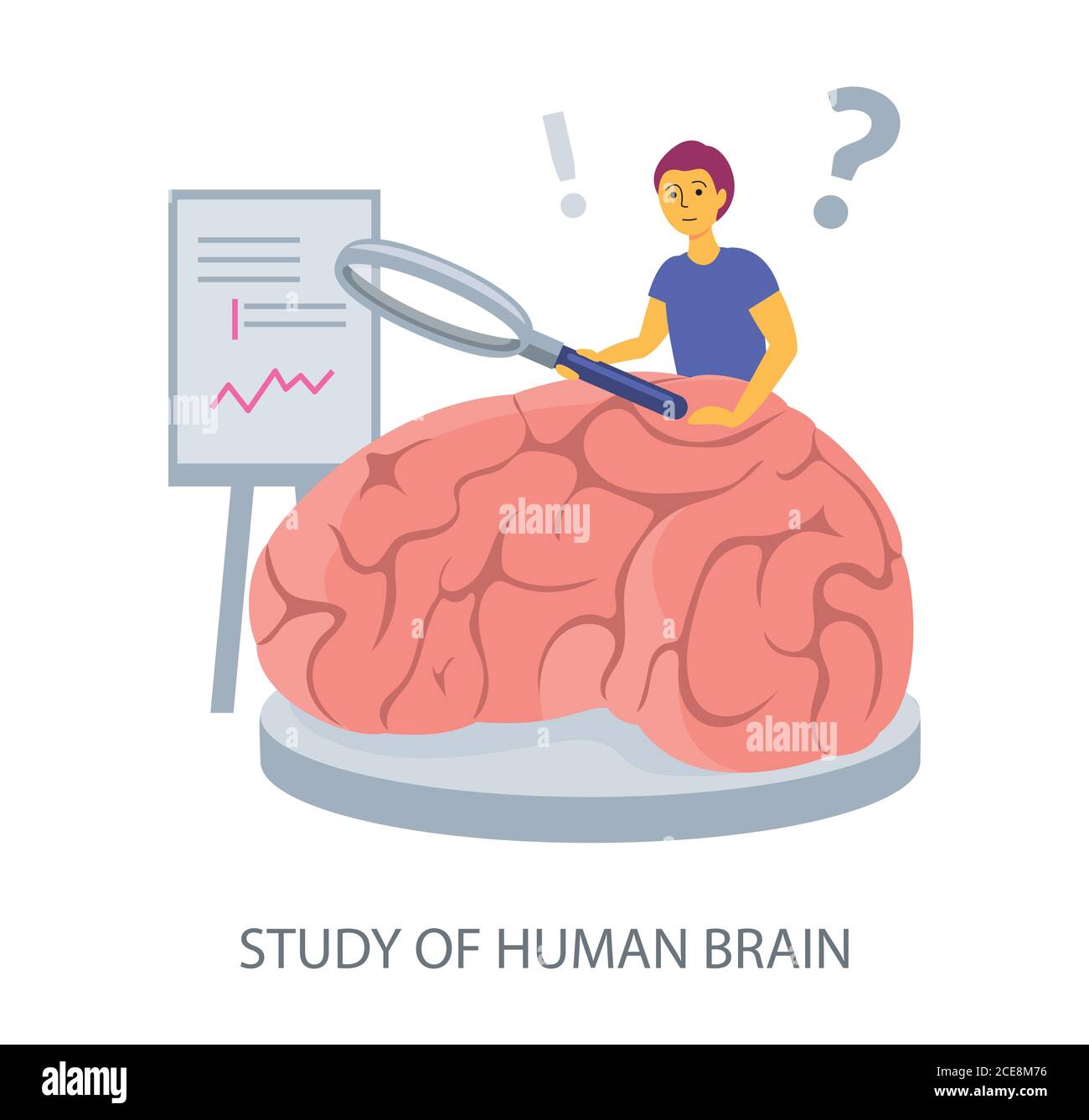 Study of Human Brain concept on white background, flat design vector illustration Stock Vector