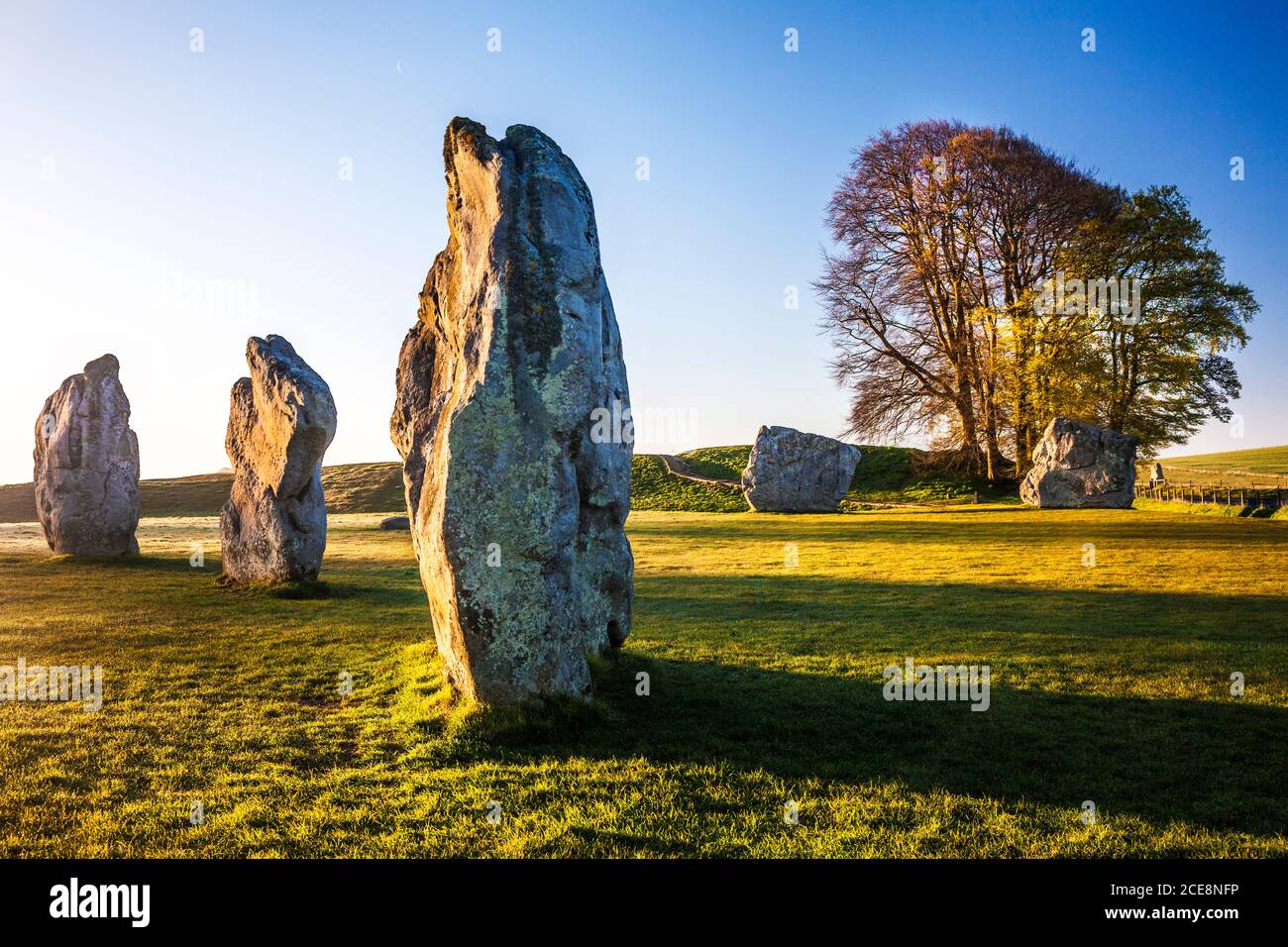 Sarsen stones at sunrise in Avebury in Wiltshire. Stock Photo