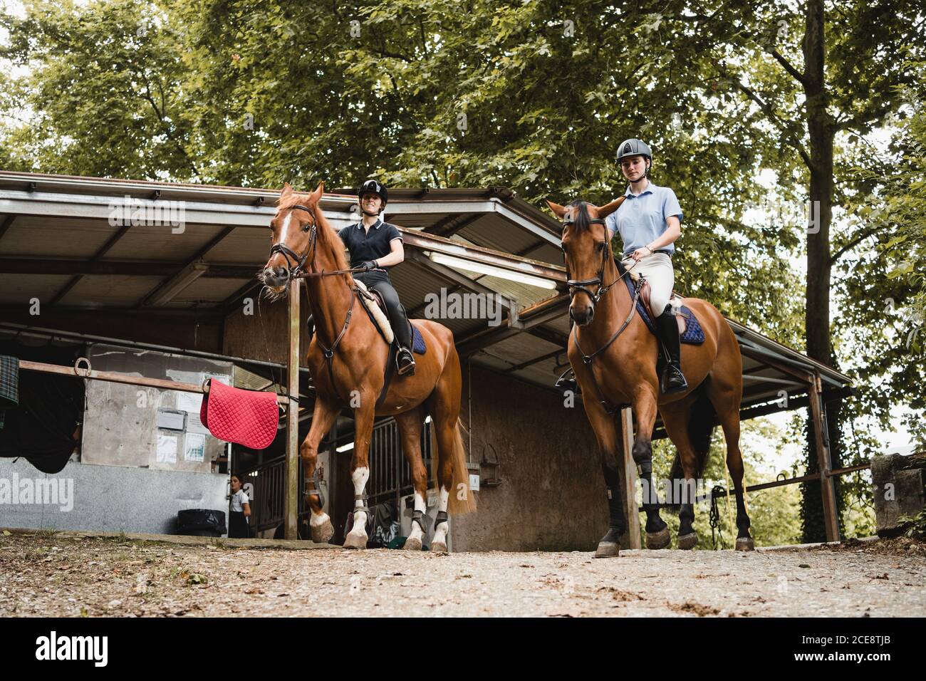 Low angle of female equestrians sitting in saddles on horses near barn