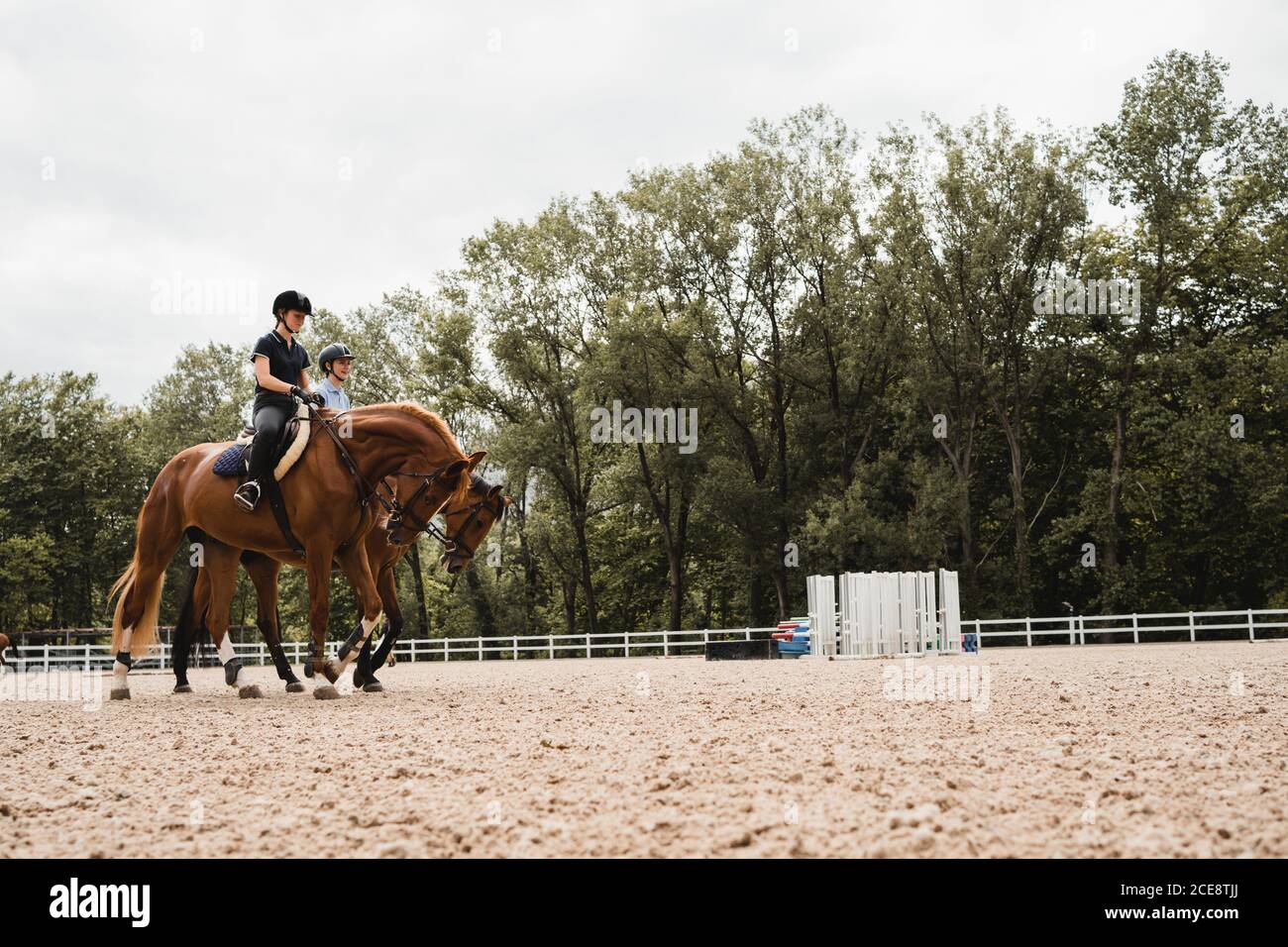 Ground level of female jockeys in uniform sitting in saddles and riding horses on sandy paddock during training Stock Photo