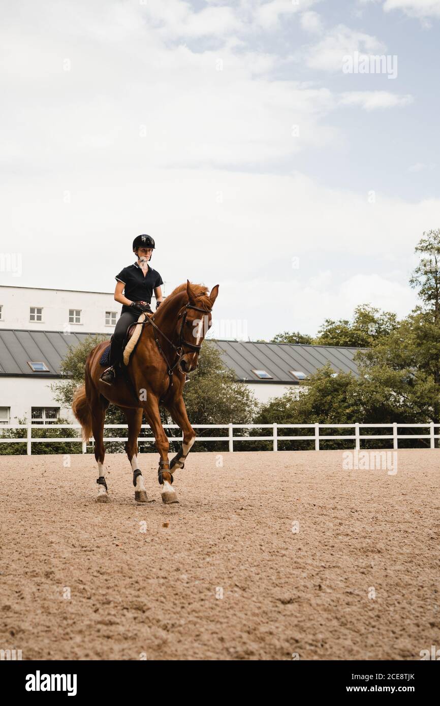 Female equestrian in uniform riding chestnut horse on sand arena during dressage on cloudy day Stock Photo