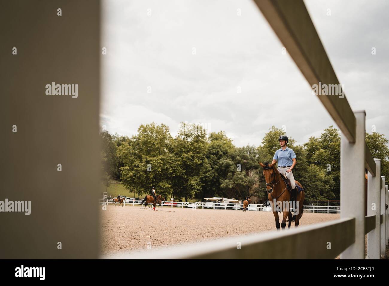 Female equestrian in uniform riding chestnut horse on sand arena during dressage on cloudy day Stock Photo