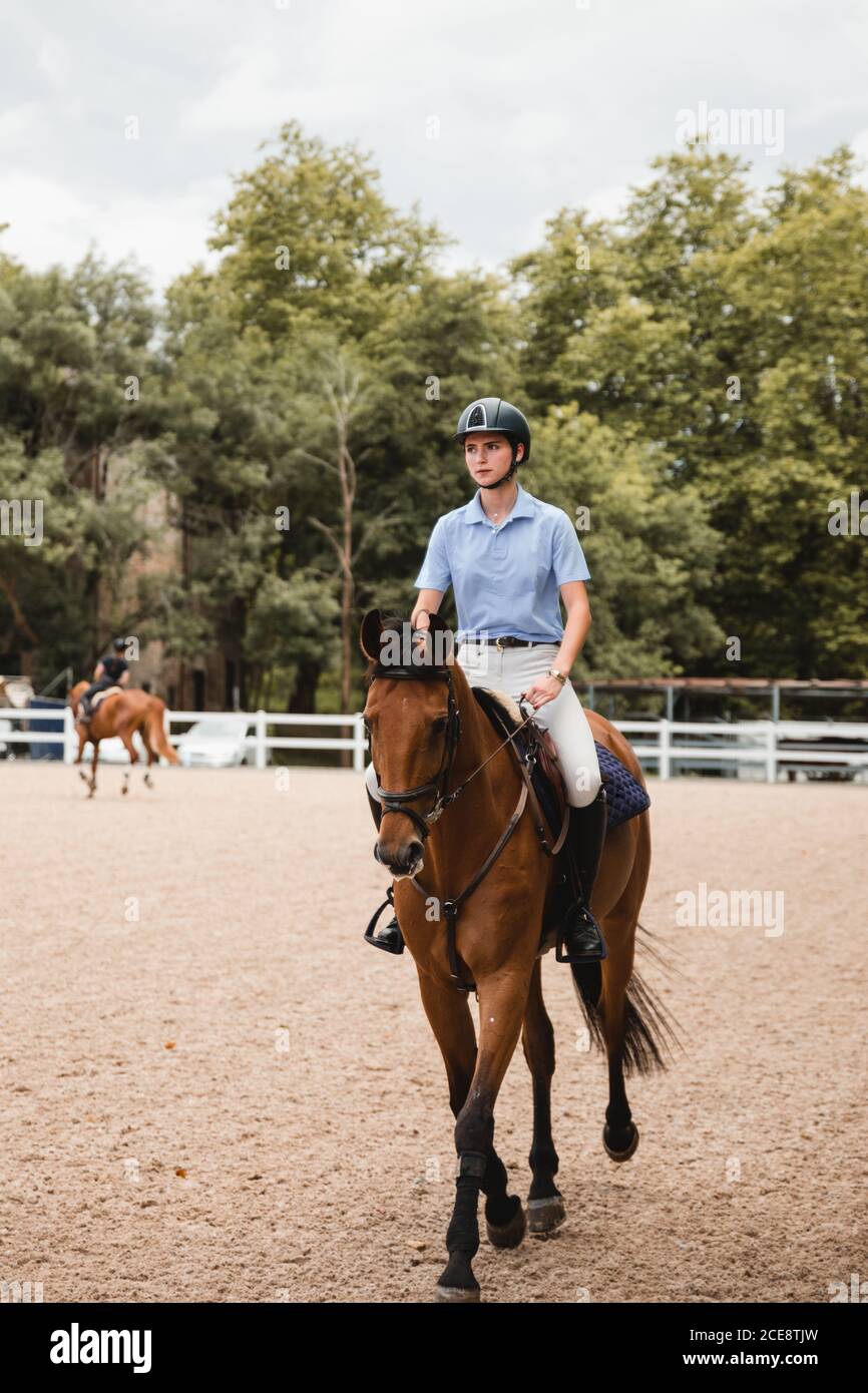 Female equestrian in uniform riding chestnut horse on sand arena during dressage on cloudy day Stock Photo