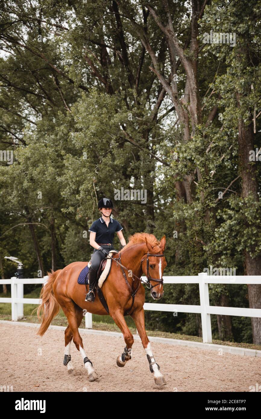 Female equestrian in uniform riding chestnut horse on sand arena during dressage on cloudy day Stock Photo