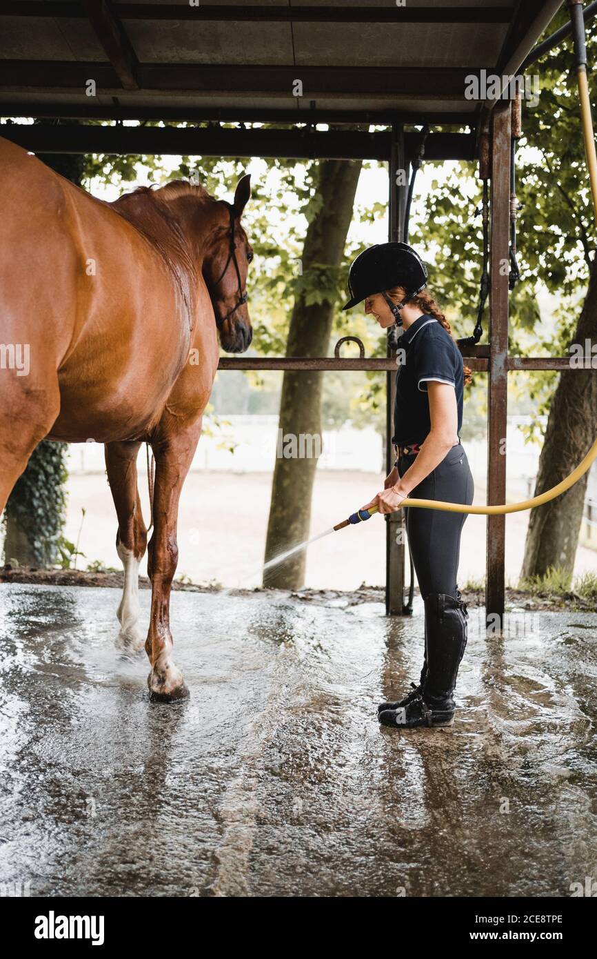 Side view of young female jockey in riding boots and hat standing in