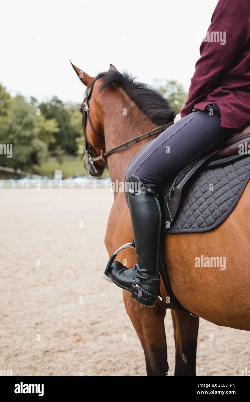 Side view of unrecognizable crop female equestrian riding chestnut horse during dressage in park