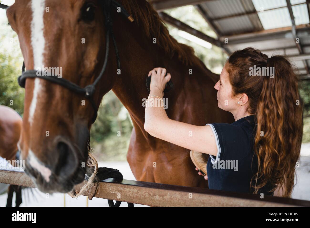 Female equestrian standing in stable and tenderly grooming mane of chestnut horse on ranch Stock Photo