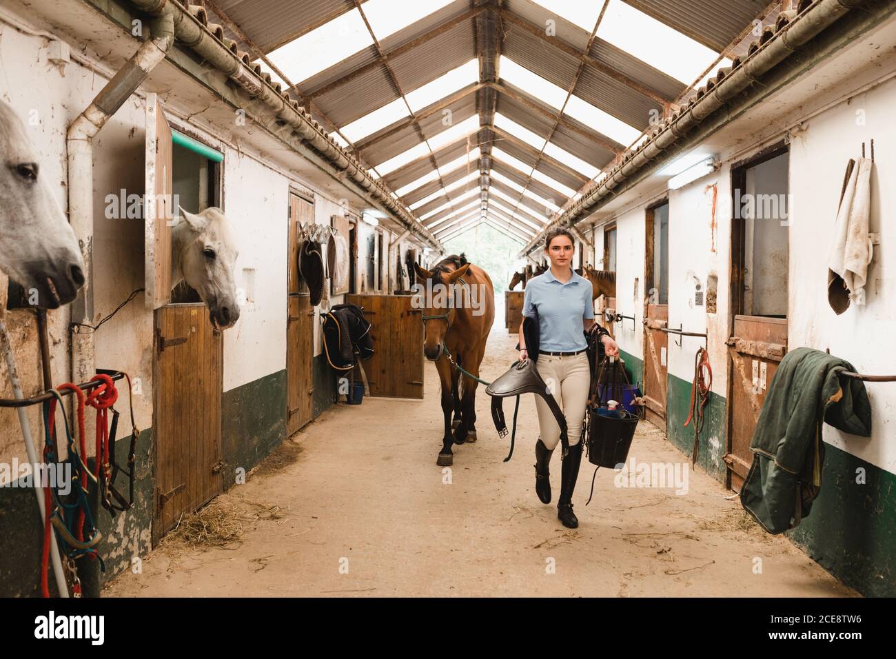 Young female equestrian in boots walking along barn with horse and saddle while looking at camera Stock Photo