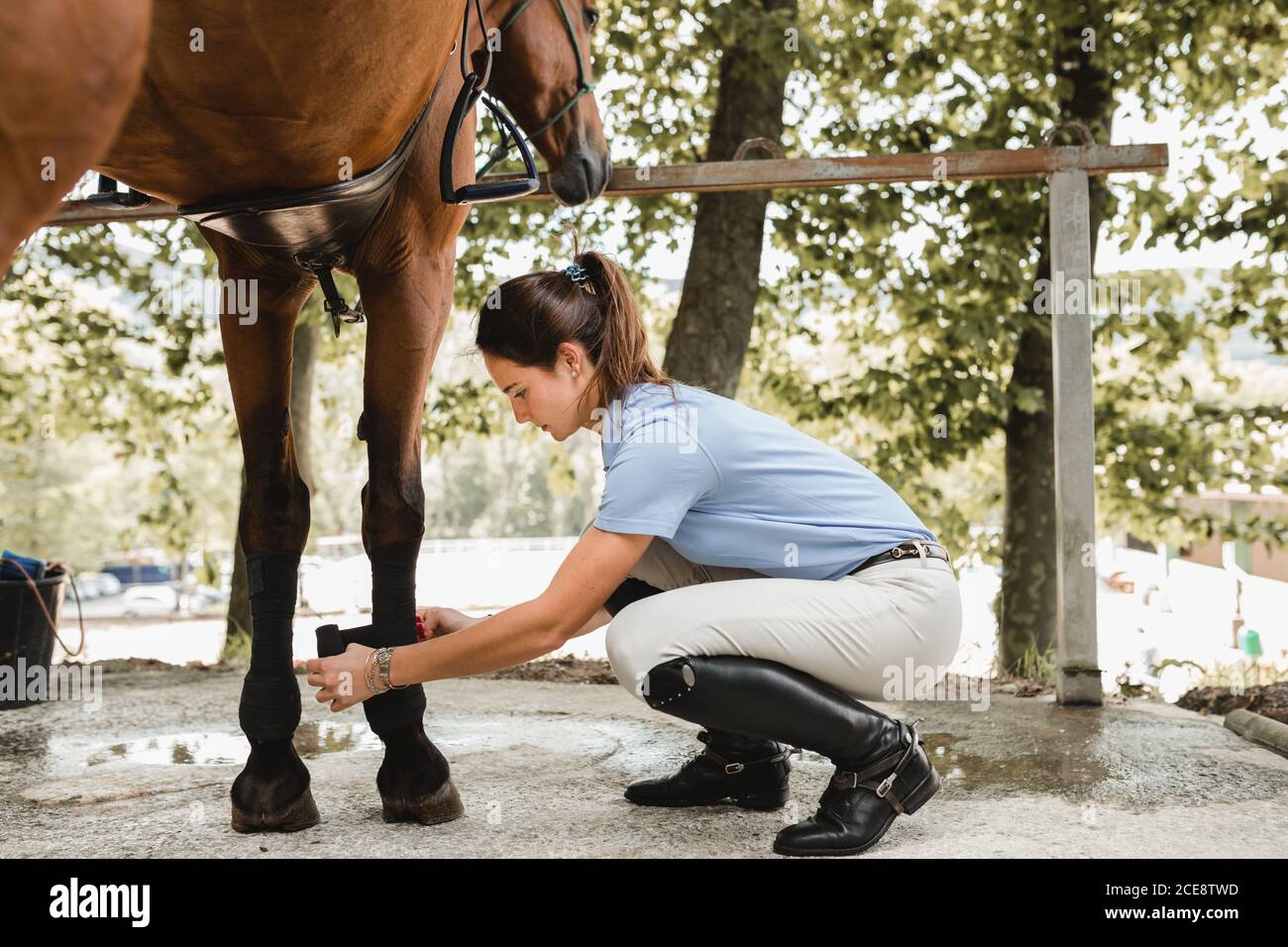Side view of serious female equestrian putting protective splint boots