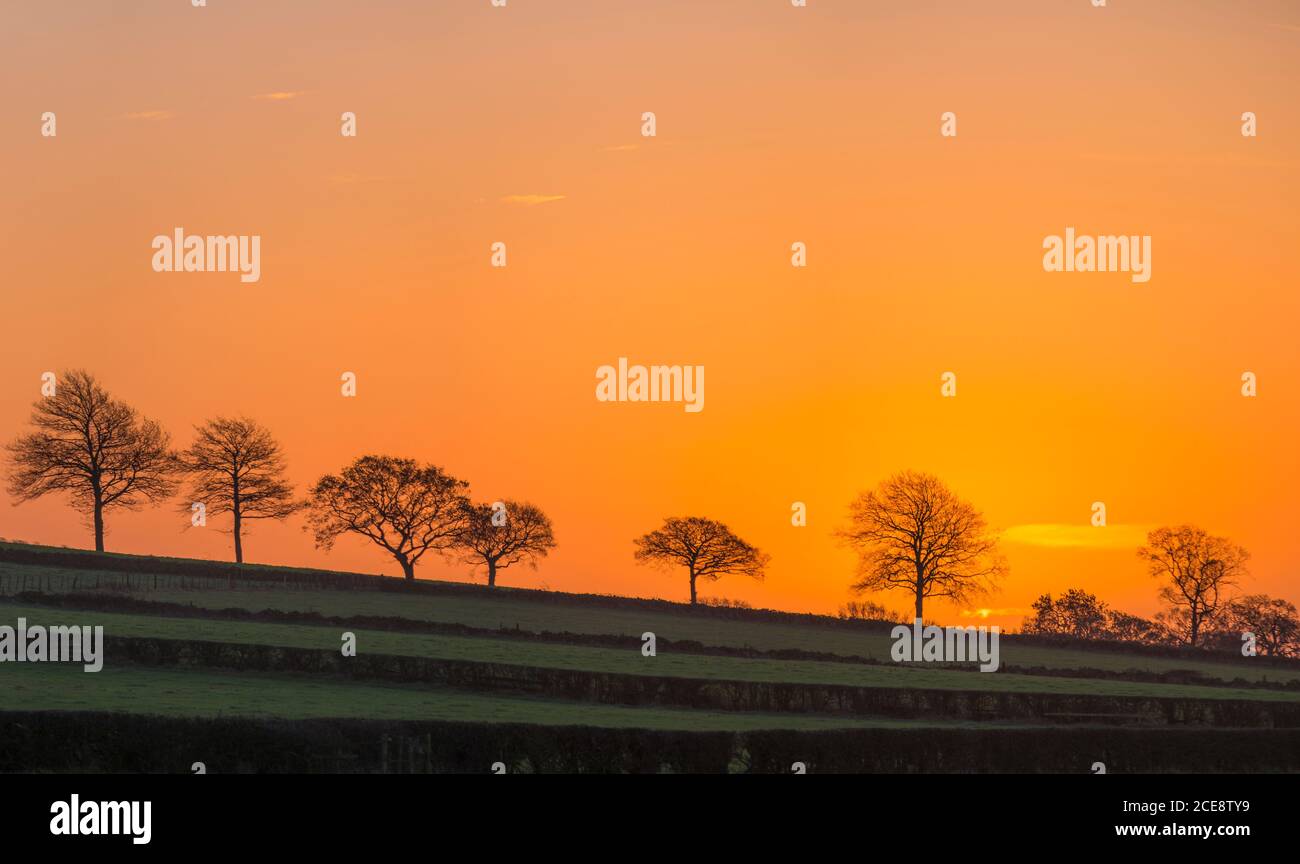 Sunrise in Charnwood Forest. Stock Photo