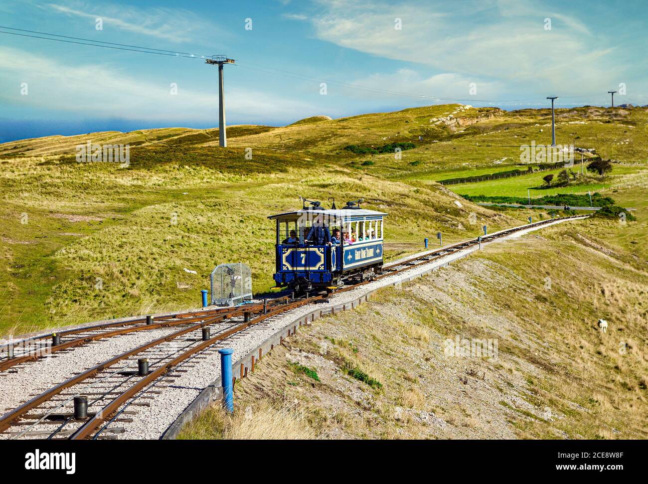 Tram No. 7 en route from Llandudno Victoria Station to the summit station on Cable hauled Great Orme Tramway in Llandudno north Wales UK Stock Photo
