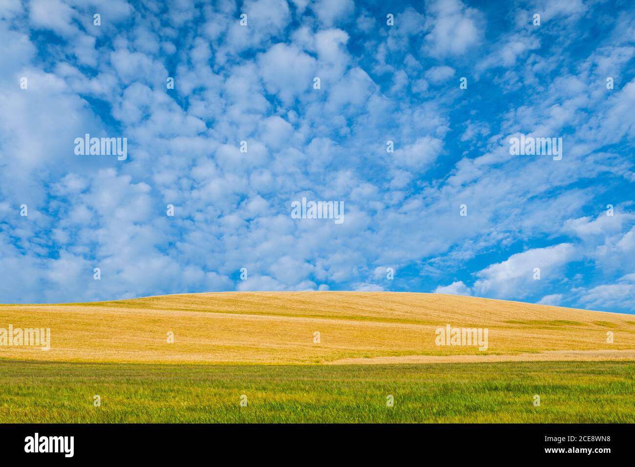 A dappled blue sky above a hill in a field. Stock Photo