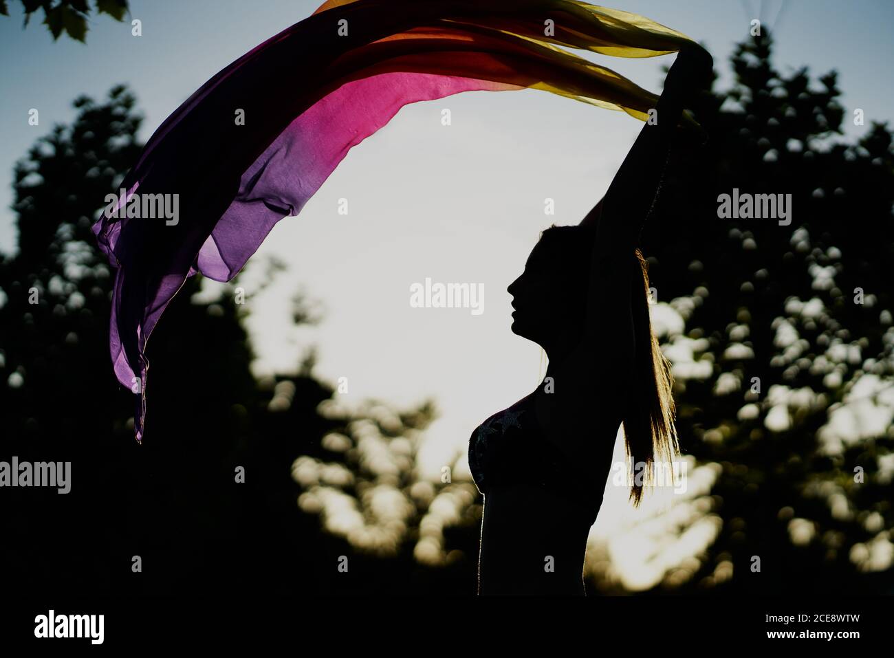 Side view of silhouette of female belly dancer performing in garden during sunset Stock Photo