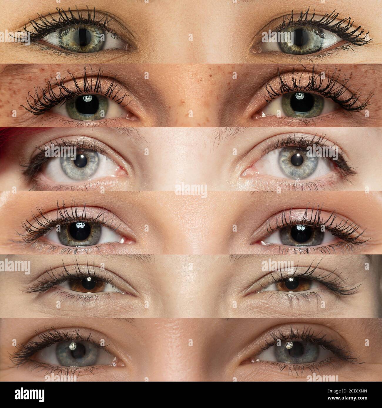 Set, collage of different types of male and female eyes. Concept of beauty, mental health, ophtalmology, cosmetology, cosmetics. Beautiful close up eyes of 6 people with different colors and emotions. Stock Photo