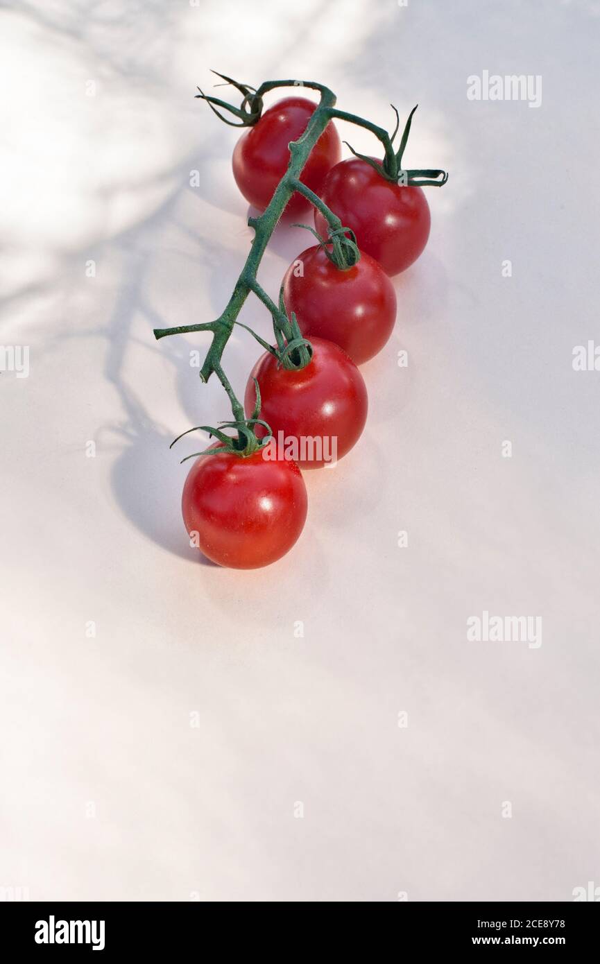 Top view of bunch of ripe red cherry tomatoes with green stems placed on white background Stock Photo