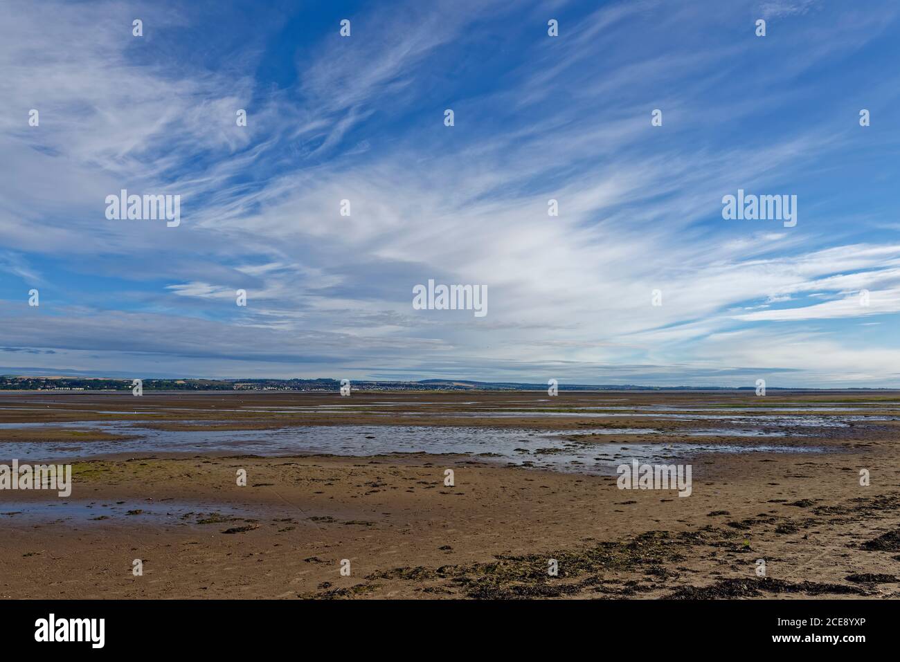 The large flat sandy beach at the Tay estuary near to Tentsmuir Nature Reserve at Low tide, with Barry Buddon in the distance. Stock Photo