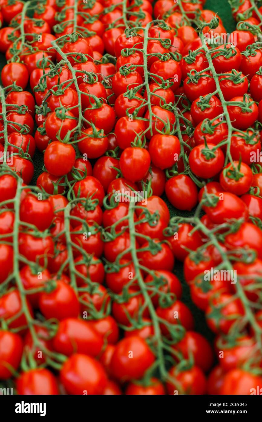 Pile of red cherry tomatoes on green stems placed in container on local grocery market Stock Photo