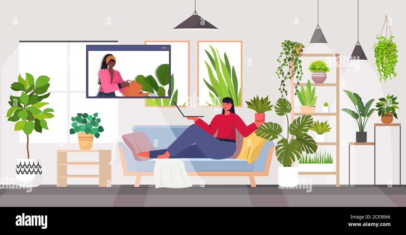 woman taking care of houseplants housewife discussing with friend in web browser window during video call full length horizontal vector illustration Stock Vector