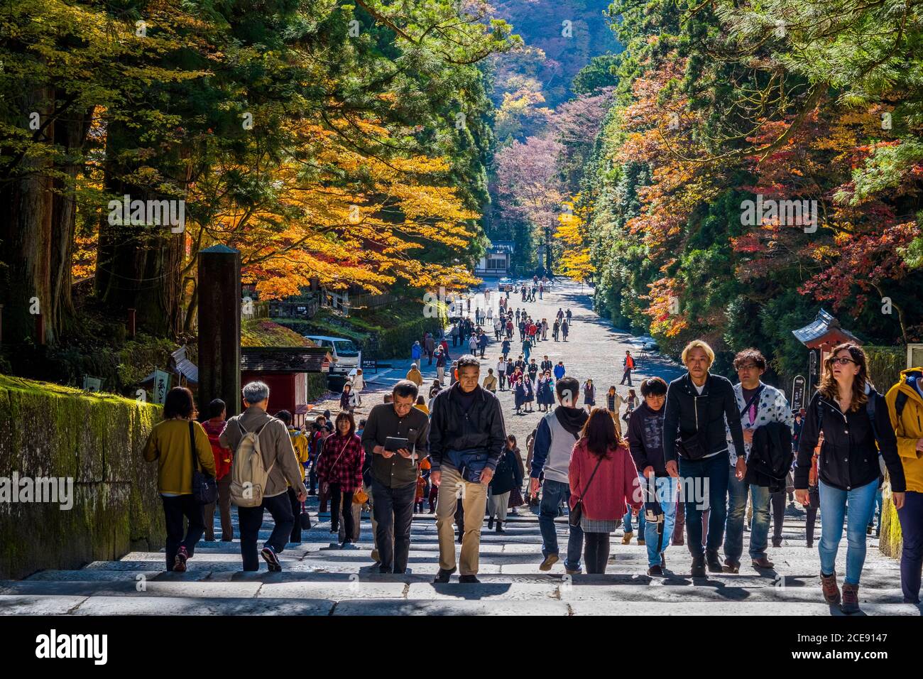 Tourists and Japanese people visiting Nikko Tosho-gu Shinto shrine. Stock Photo