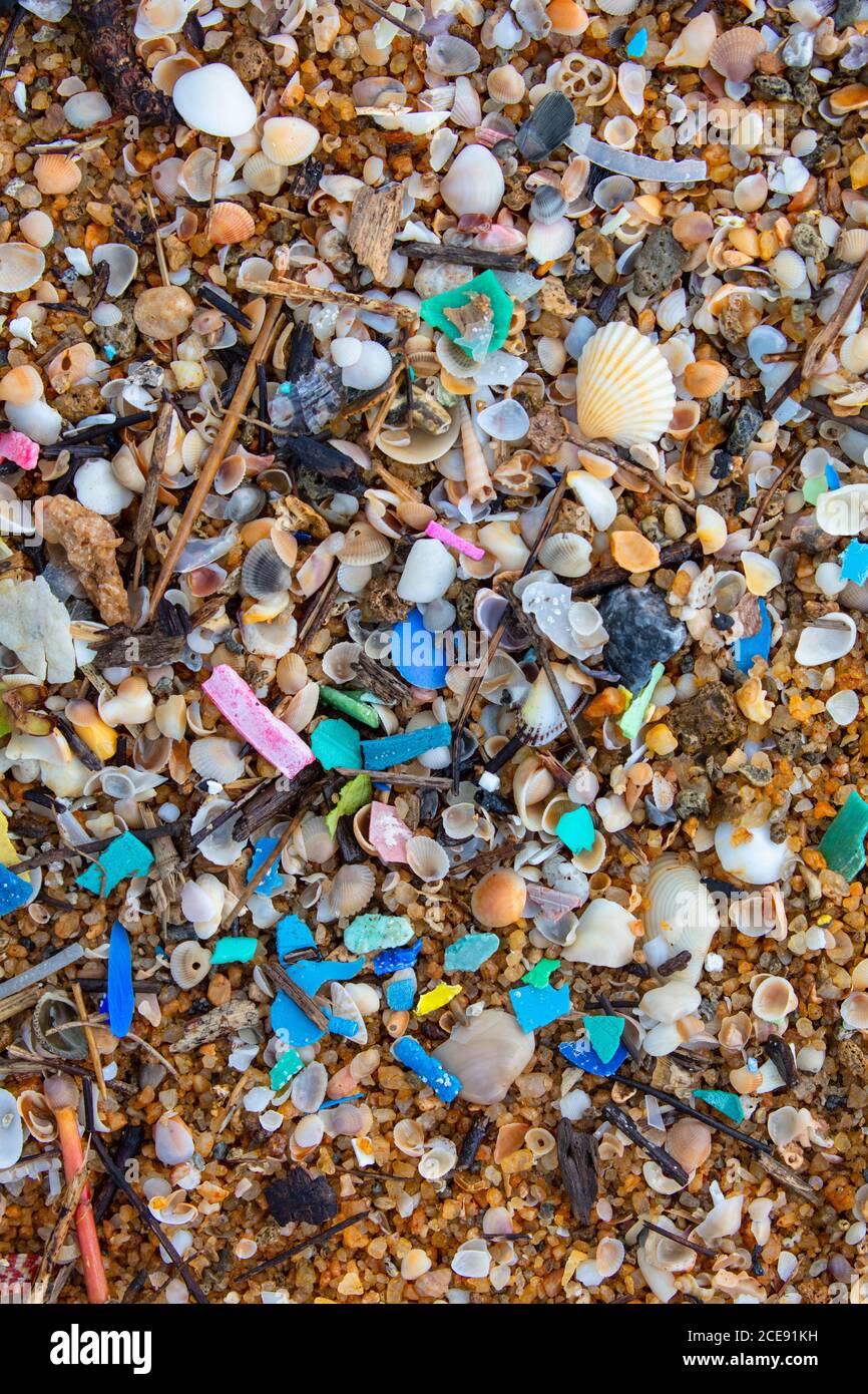 Sri Lanka, Waduwa, Pollution on beach. Plastic Stock Photo Alamy