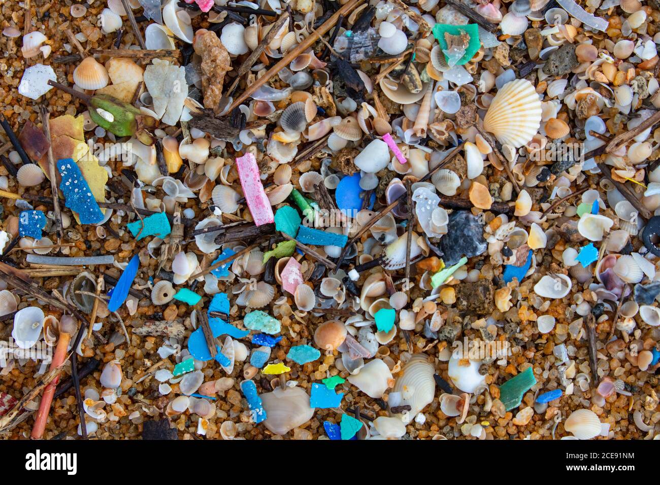 Sri Lanka, Waduwa, Pollution on beach. Plastic Stock Photo Alamy