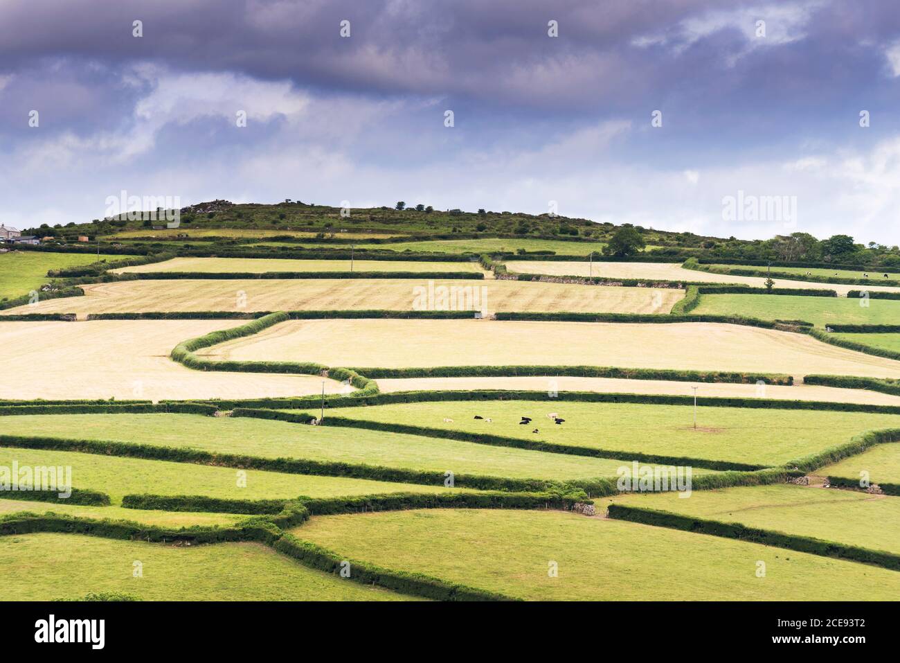 A patchwork of fields on Bodmin Moor in Cornwall. Stock Photo