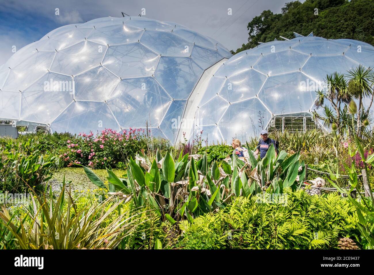 The geodesic biome domes at the Eden Project in Cornwall. Stock Photo
