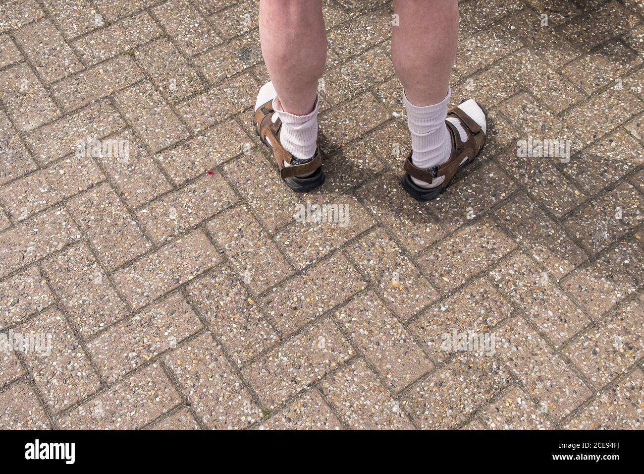 The legs of a man wearing socks and sandals. Stock Photo