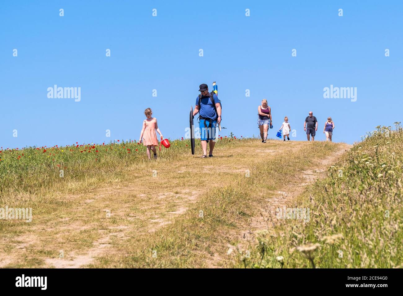 Holidaymakers walking along the edge of a field of poppies on a sunny day on Pentire Point West in Newquay in Cornwall. Stock Photo