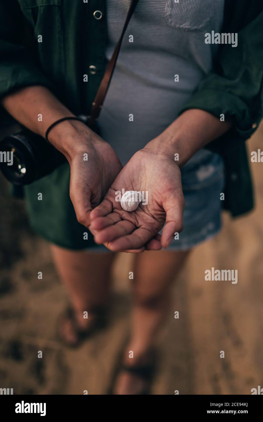 Crop hands with white seashell Stock Photo