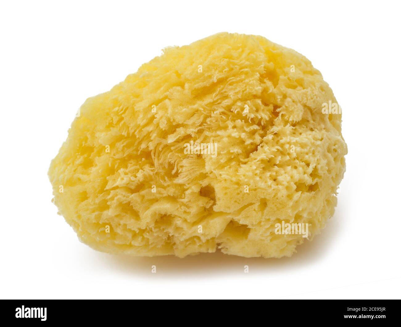 Natural yellow sponge isolated on white background Stock Photo