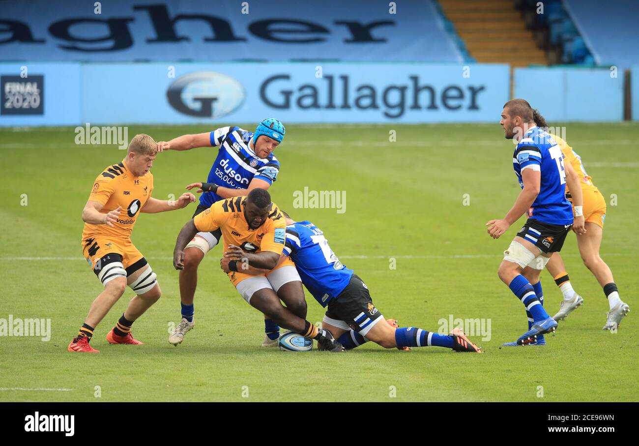 Wasps' Biyi Alo Stock Photo - Alamy