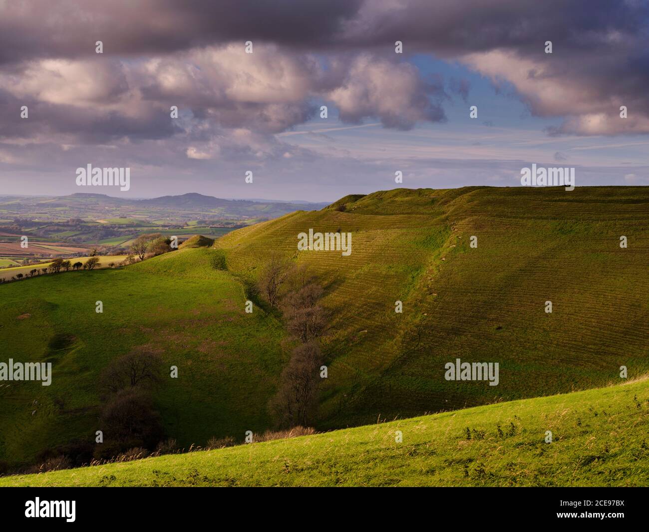 Powerstock hill hi-res stock photography and images - Alamy