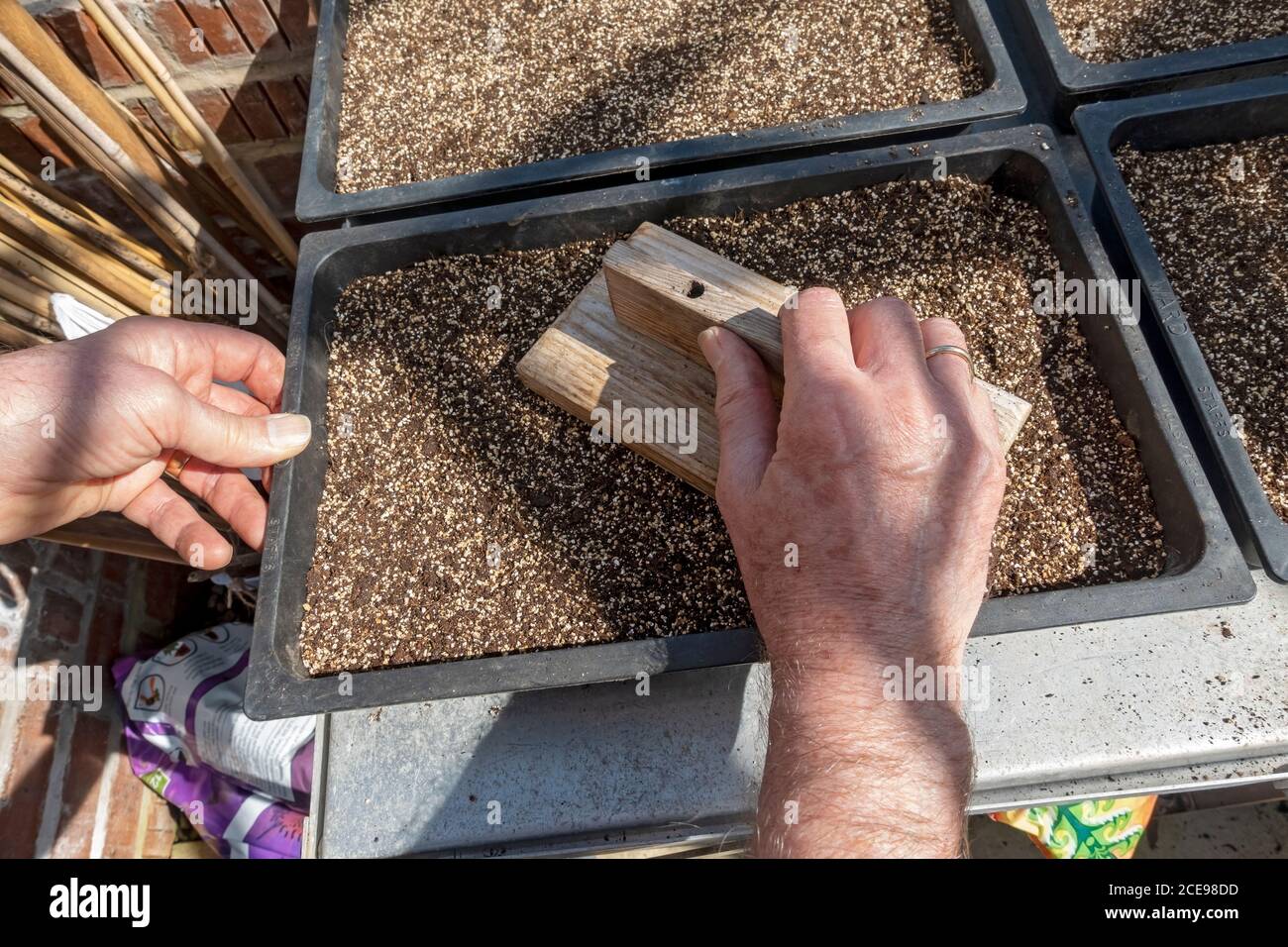Close up of man levelling potting compost in a seed tray ready for sowing seeds in spring. Stock Photo