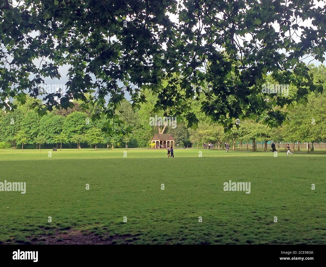 Battersea Park after the storm Stock Photo Alamy